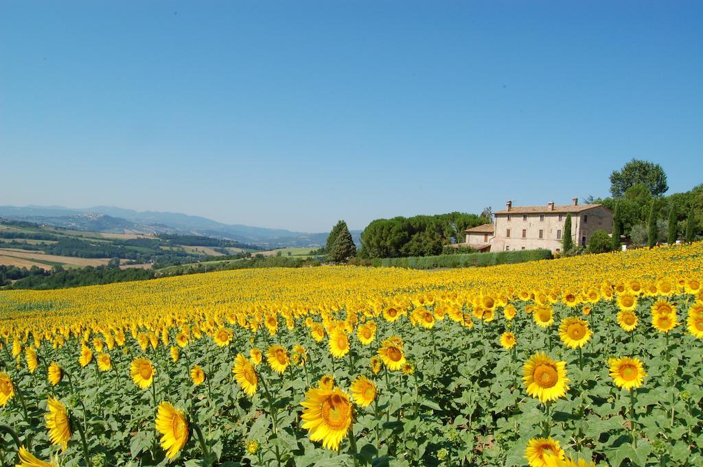 Agriturismo Casale Dei Frontini San Terenziano Exteriér fotografie