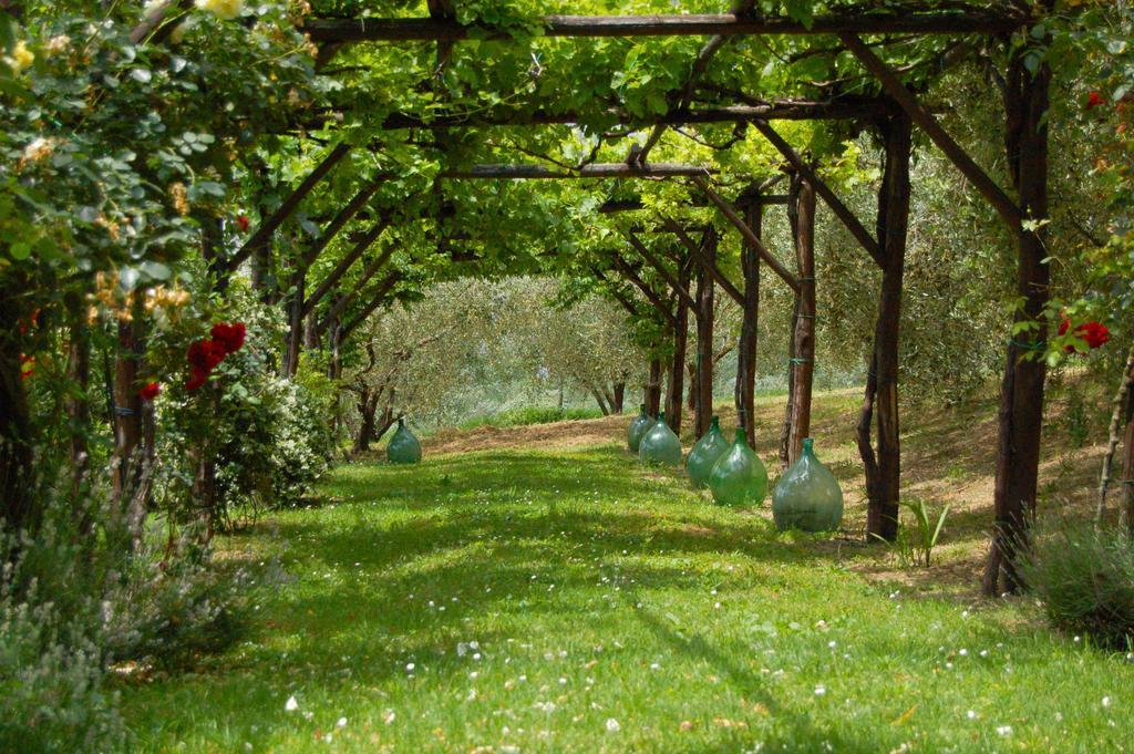 Agriturismo Casale Dei Frontini San Terenziano Exteriér fotografie