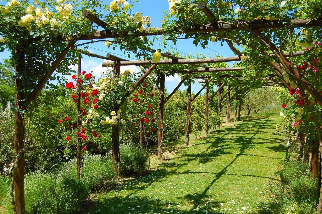 Agriturismo Casale Dei Frontini San Terenziano Exteriér fotografie