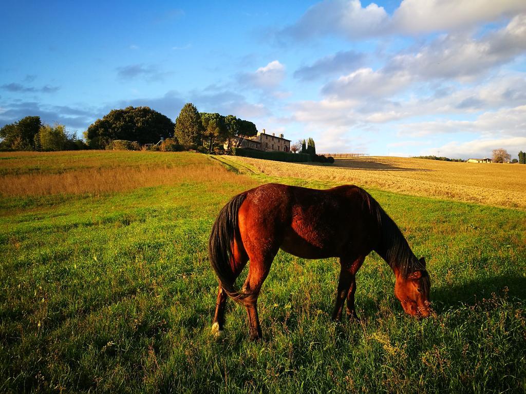 Agriturismo Casale Dei Frontini San Terenziano Exteriér fotografie