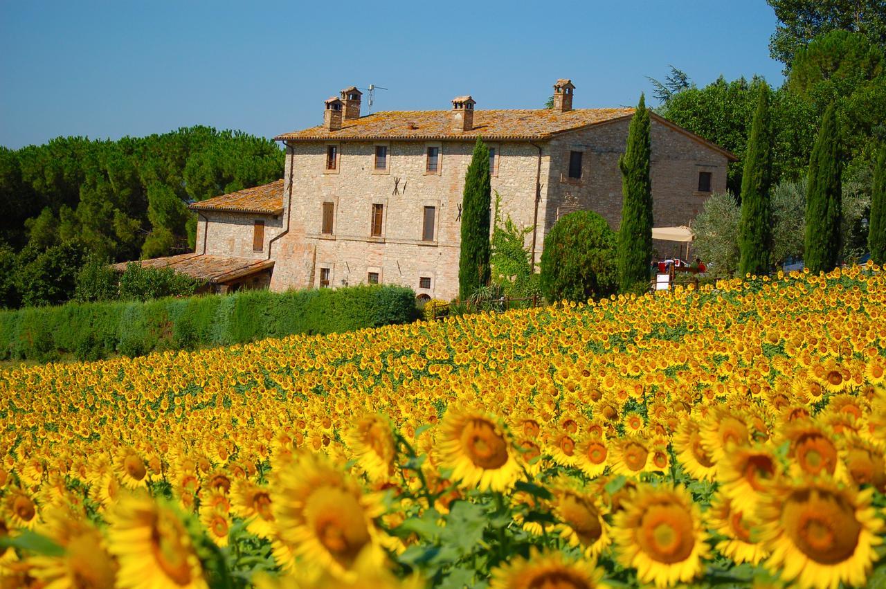 Agriturismo Casale Dei Frontini San Terenziano Exteriér fotografie